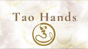 tao hnds